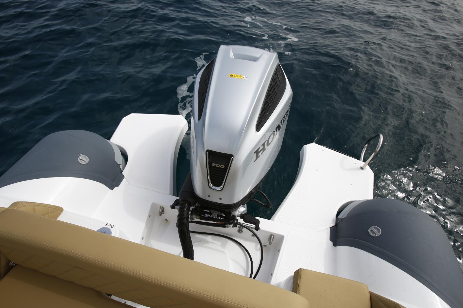 Salpa Soleil 23